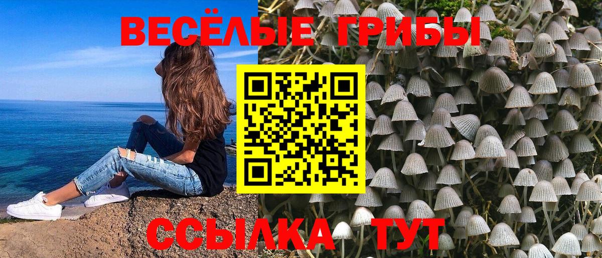 Янаул  Галлюциногенные грибы мицелий  Вход с VPN 