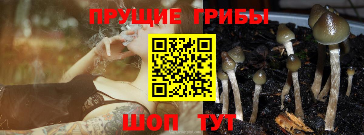 Галлюциногенные грибы прущие грибы Янаул
